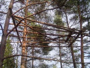 pic_2004_techniklager_07