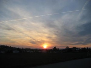 pic_36