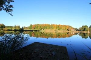 IMG_8513