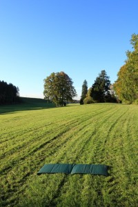 IMG_8516