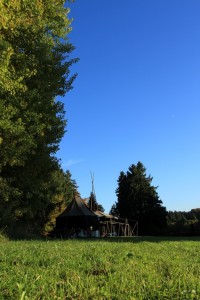 IMG_8519
