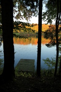 IMG_8533