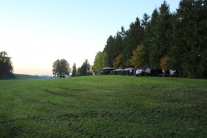 IMG_8544