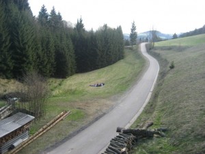 IMG_1351