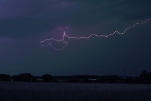 IMG_9341