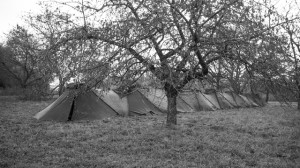 IMG_5776 