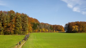 IMG_5890