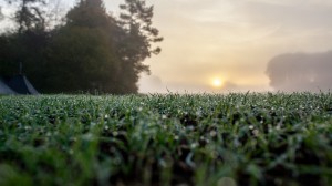 IMG_6019