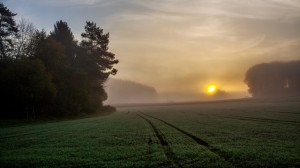 IMG_6021